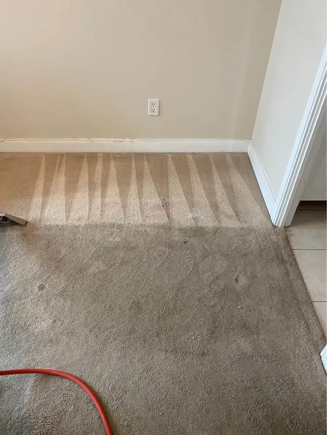 Best House Carpet,Upholstery And Couch Cleaning - Photo 4