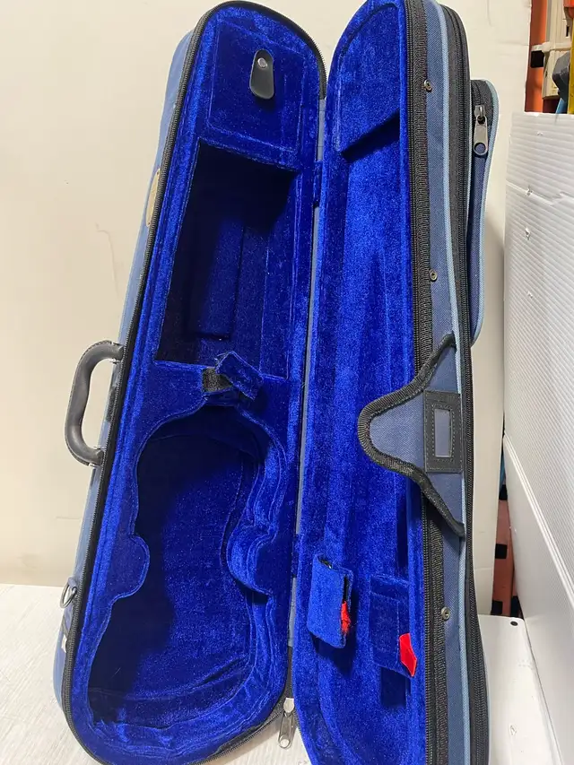 Violin Case