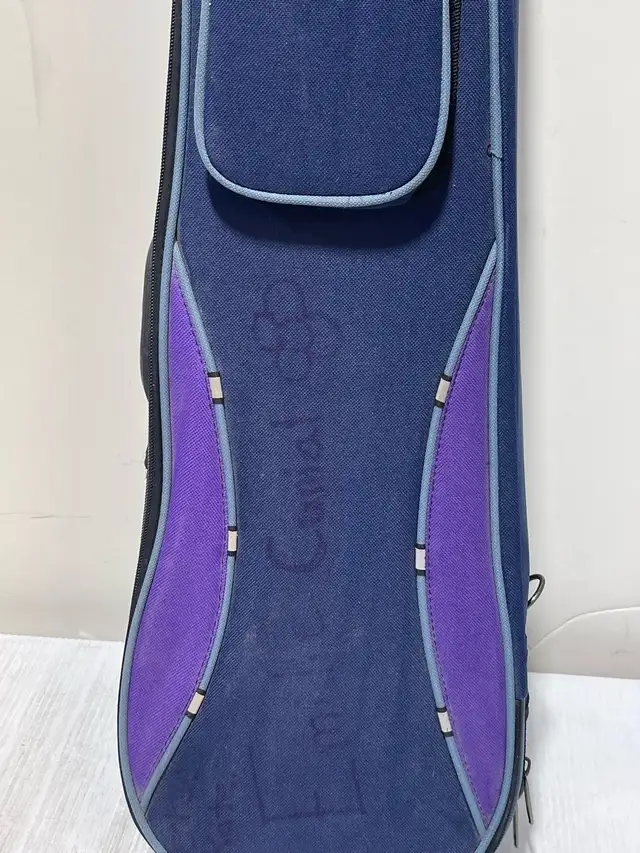 Violin Case - Photo 9