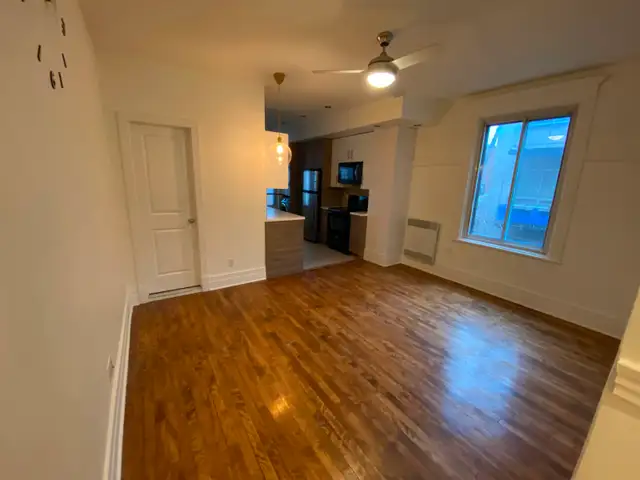 Charmant 4 1/2 au cœur du quartier La Petite-Patrie - Photo 2