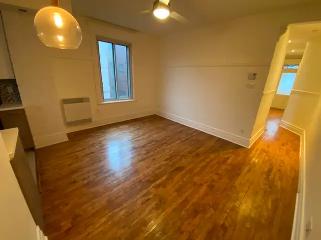 Charmant 4 1/2 au cœur du quartier La Petite-Patrie - Photo 3