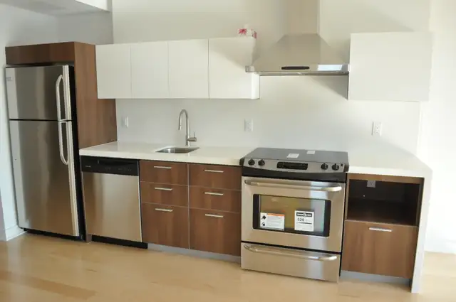 Downtown Luxury Condo for Rent for May 1st OR June 1st!