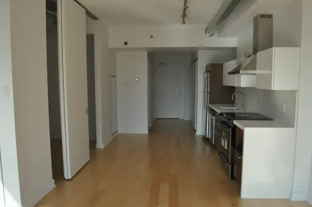 Downtown Luxury Condo for Rent for May 1st OR June 1st! - Photo 2