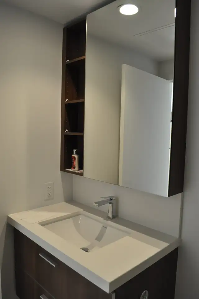 Downtown Luxury Condo for Rent for May 1st OR June 1st! - Photo 4