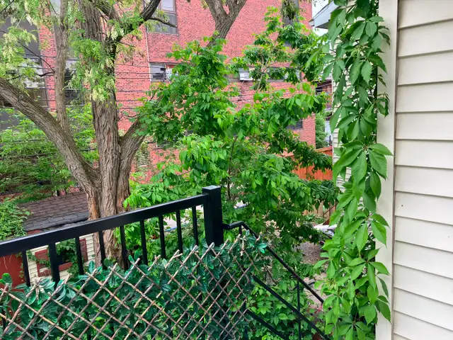 2 bedroom in upper duplex July 1st - Photo 10