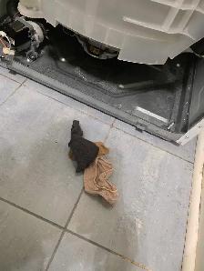 washer and dryer repair