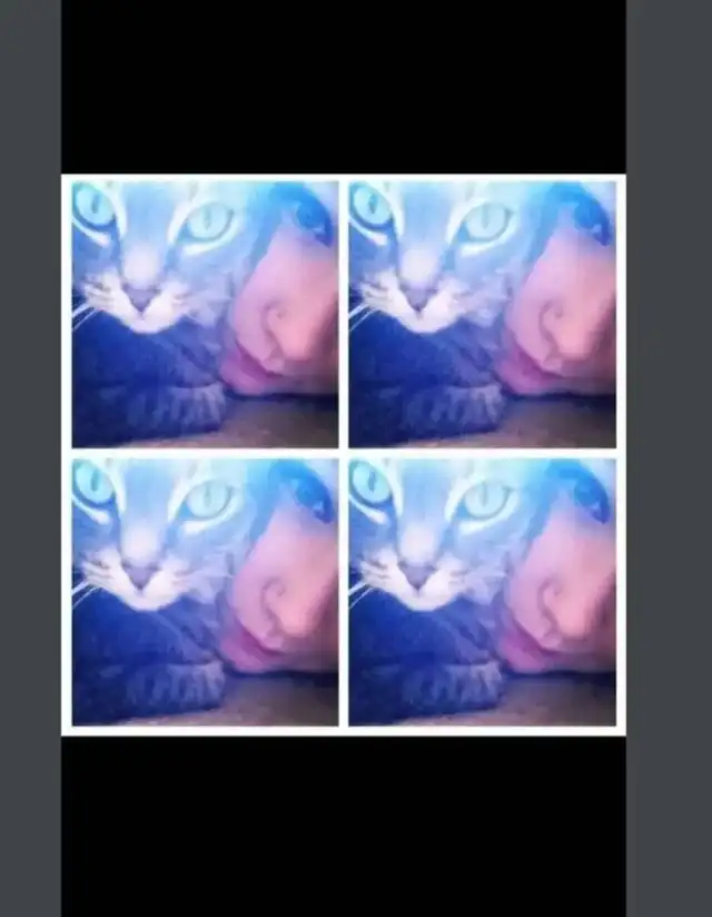 Pet Sitter/Dog Walker