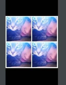 Pet Sitter/Dog Walker