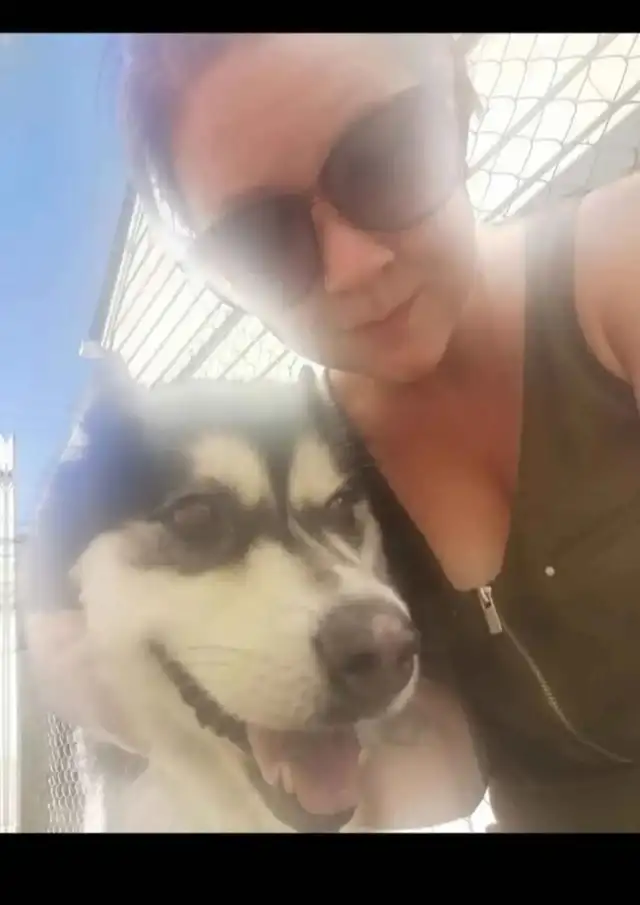 Pet Sitter/Dog Walker - Photo 2