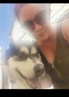 Pet Sitter/Dog Walker - Photo 2