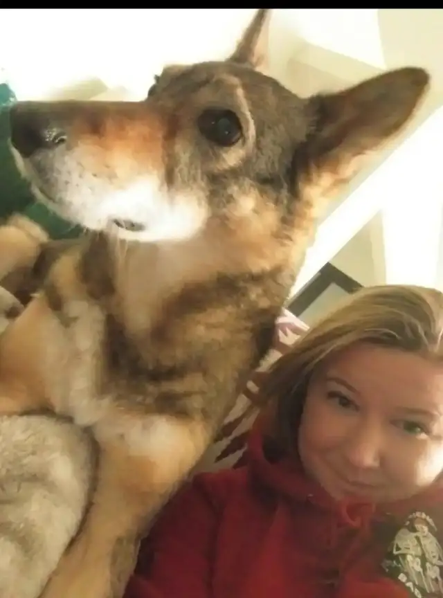 Pet Sitter/Dog Walker - Photo 6