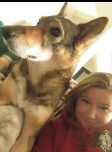 Pet Sitter/Dog Walker - Photo 6