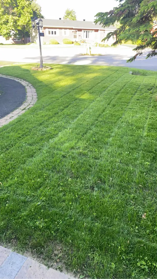 Landscaping & Junk Removal - Photo 4