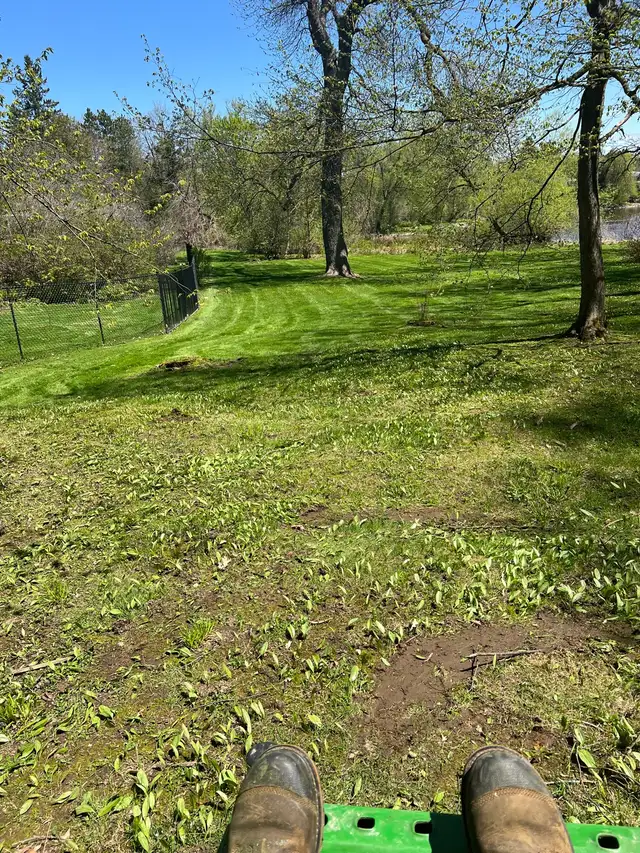 Landscaping & Junk Removal - Photo 5