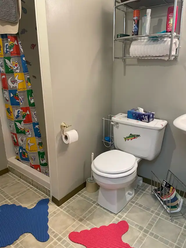 Home for sale - Photo 10