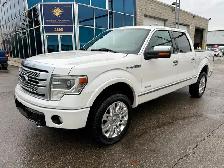 2013 Ford F-150 PLATINUM