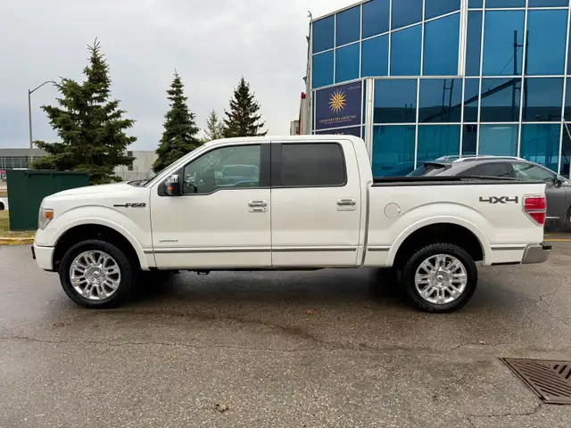 2013 Ford F-150 PLATINUM - Photo 2