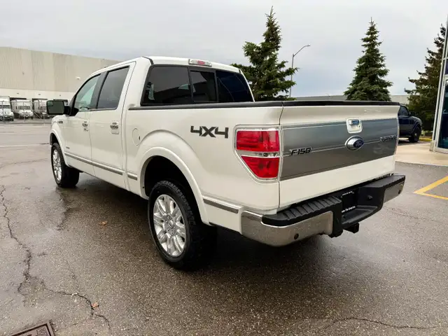 2013 Ford F-150 PLATINUM - Photo 3