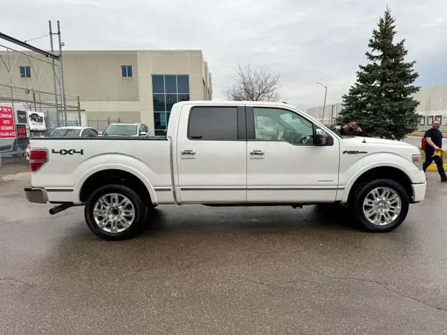 2013 Ford F-150 PLATINUM - Photo 5