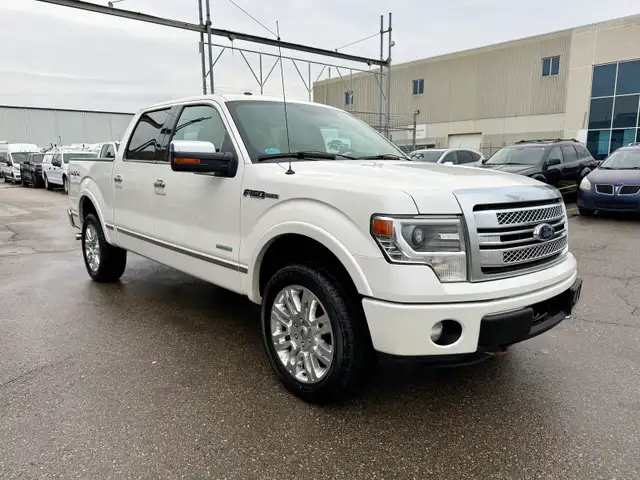 2013 Ford F-150 PLATINUM - Photo 6