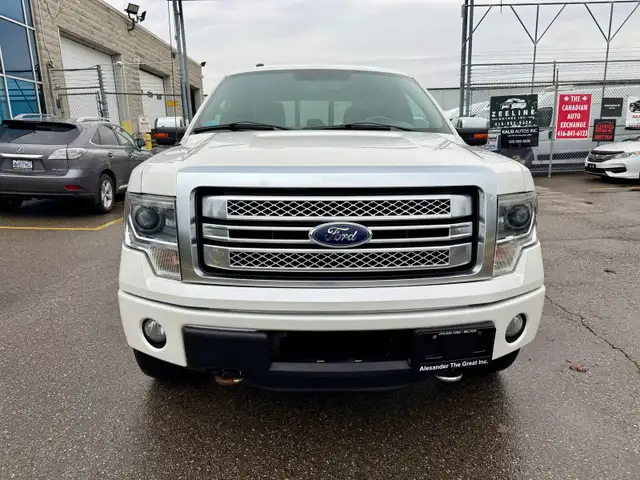 2013 Ford F-150 PLATINUM - Photo 7