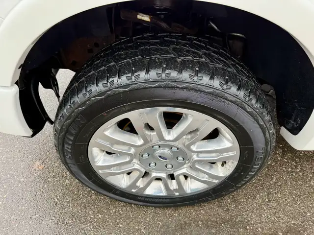 2013 Ford F-150 PLATINUM - Photo 9