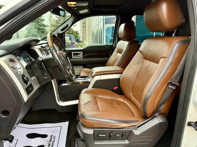 2013 Ford F-150 PLATINUM - Photo 10