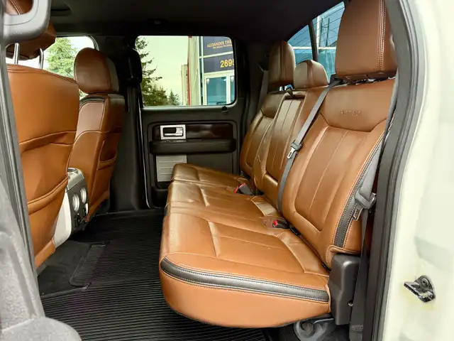 2013 Ford F-150 PLATINUM - Photo 11