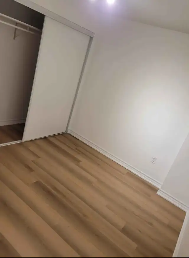 Basement Apartment - Photo 4