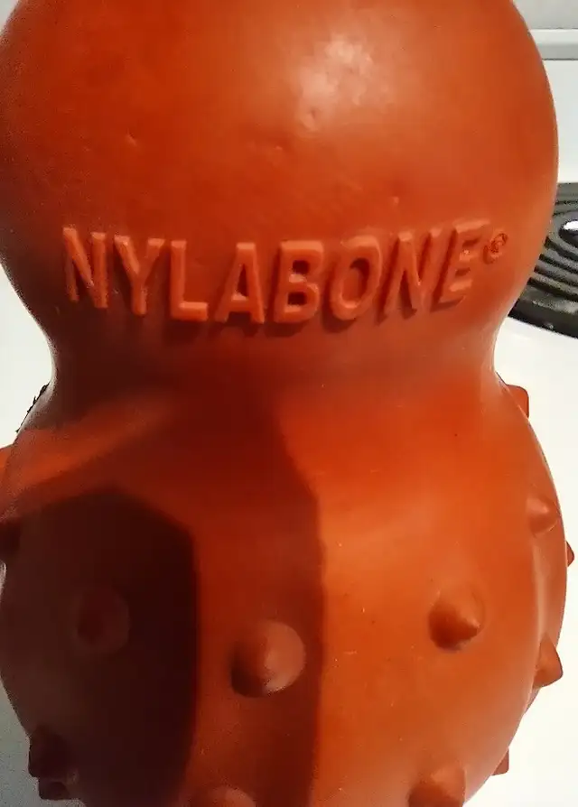 Nylabone Stuffable Chew Toy for Dogs, Large - Photo 2