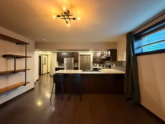 Beautiful 1 Bedroom 1 Bath basement suite for rent in Hewitt cir