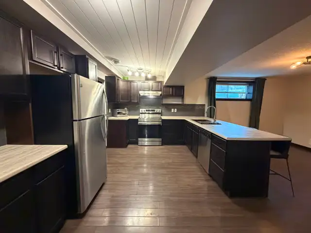 Beautiful 1 Bedroom 1 Bath basement suite for rent in Hewitt cir - Photo 3