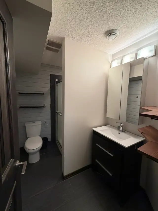 Beautiful 1 Bedroom 1 Bath basement suite for rent in Hewitt cir - Photo 4