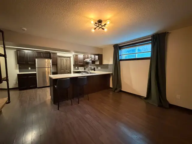 Beautiful 1 Bedroom 1 Bath basement suite for rent in Hewitt cir - Photo 6