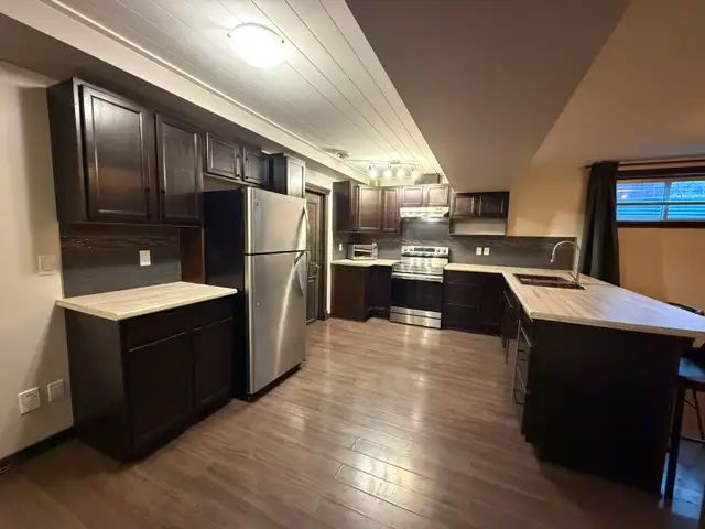 Beautiful 1 Bedroom 1 Bath basement suite for rent in Hewitt cir - Photo 15