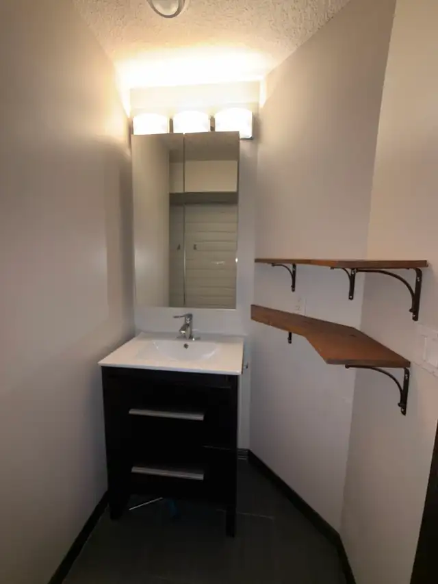 Beautiful 1 Bedroom 1 Bath basement suite for rent in Hewitt cir - Photo 17