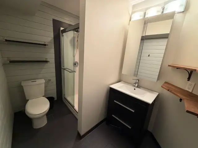 Beautiful 1 Bedroom 1 Bath basement suite for rent in Hewitt cir - Photo 18