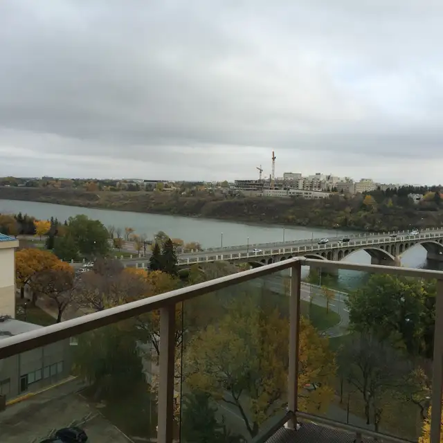 executive luxury downtown condo - Photo 3