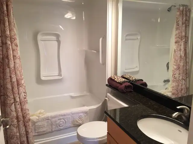 executive luxury downtown condo - Photo 6