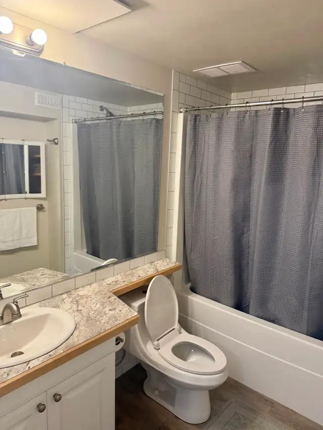 LACOMBE FURNISHED BASEMENT SUITE $1,125 - Photo 4
