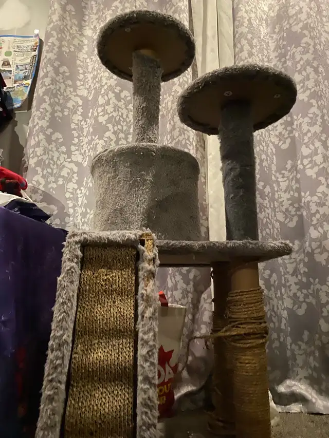 Cat Tree