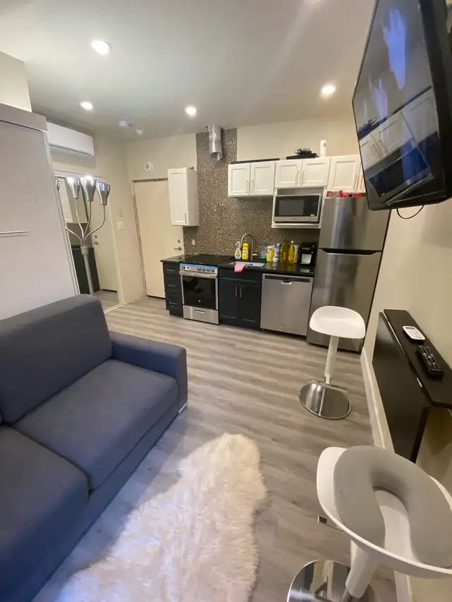 995$/mois- À Louer - Mini-Studio Moderne Completement Meublé - Photo 6