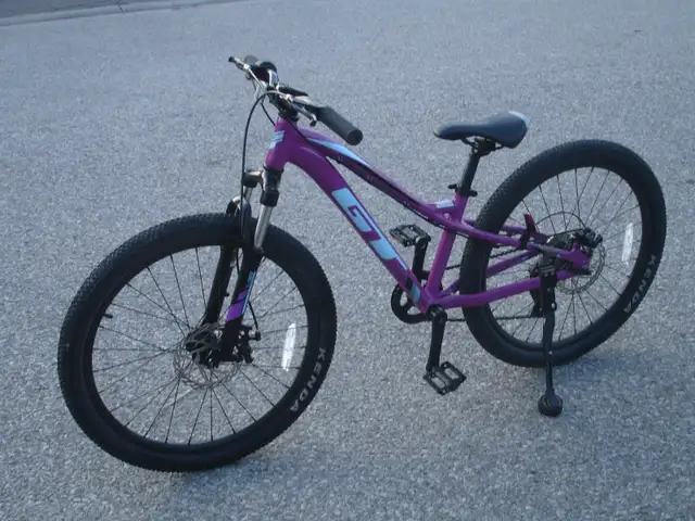 EYE CATCHER 24' GT STOMPER PRO 7 SPD, DISC BRAKES & SUSPENSION!