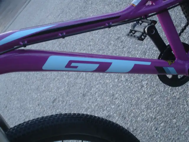 EYE CATCHER 24' GT STOMPER PRO 7 SPD, DISC BRAKES & SUSPENSION! - Photo 5