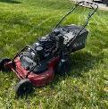 coupe de gazon // lawn care