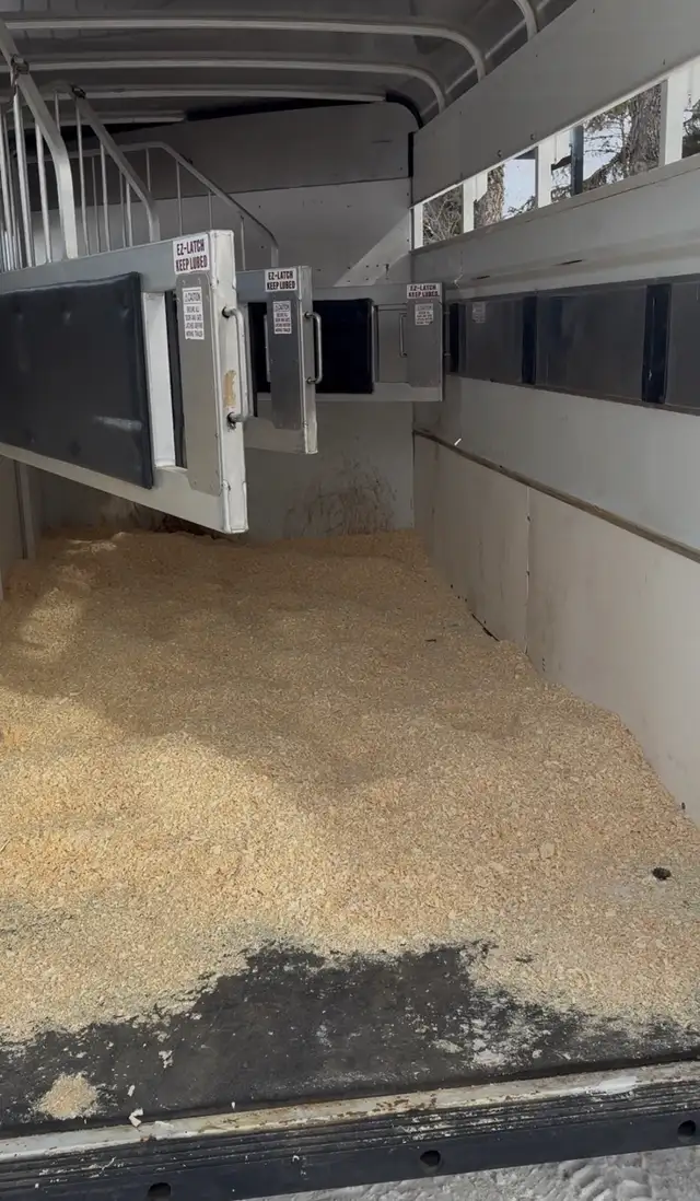 horse hauling! - Photo 2