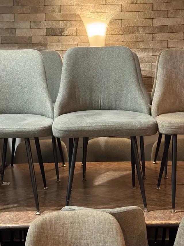 Restaurant Dining Chairs - Photo 3