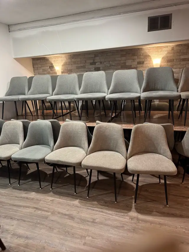 Restaurant Dining Chairs - Photo 5