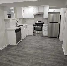 legal basement, full house renovation - Photo 9