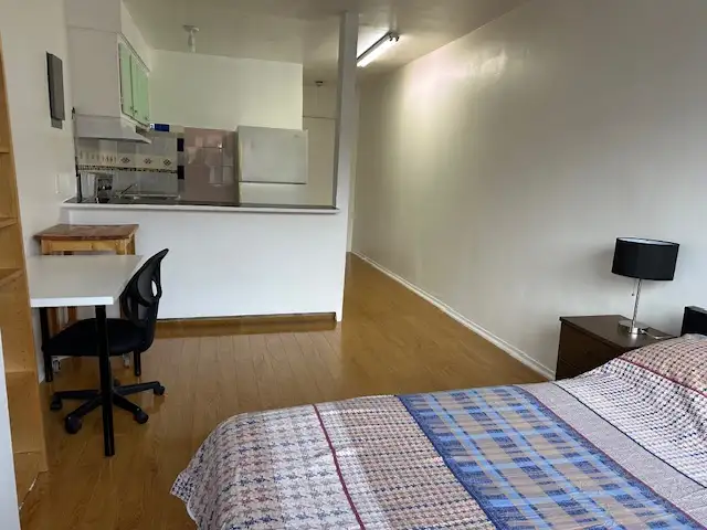 Downtown Near McGill All Included Furnitured Studio for Rent !! - Photo 7